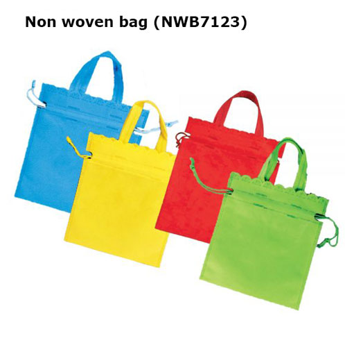 Non woven bag (NWB7123)