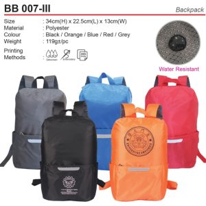 Budget Backpack (BB007-III)