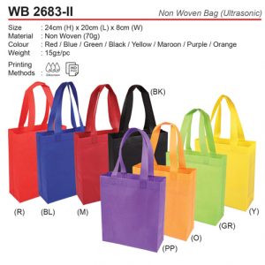 Small Non Woven Bag (WB2683-II)